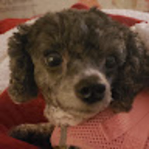 Meet your Posher, Teej - Picture 1 of 1